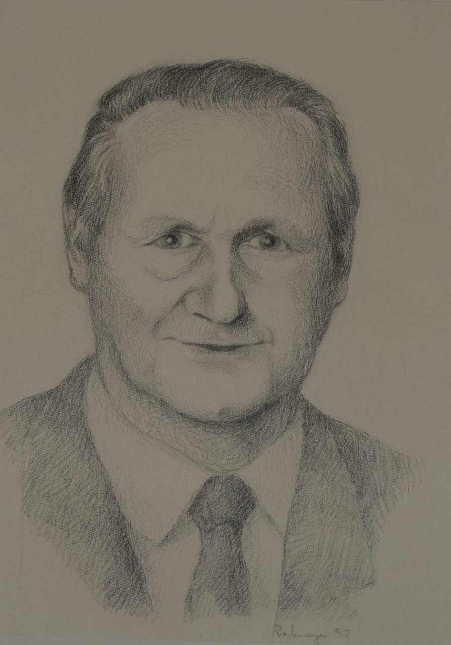 Gemeinderat, Politik