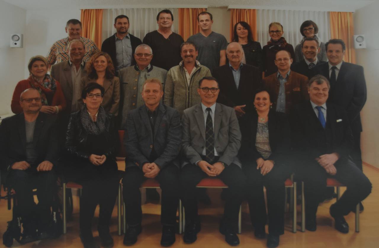 Gemeinderat, Politik