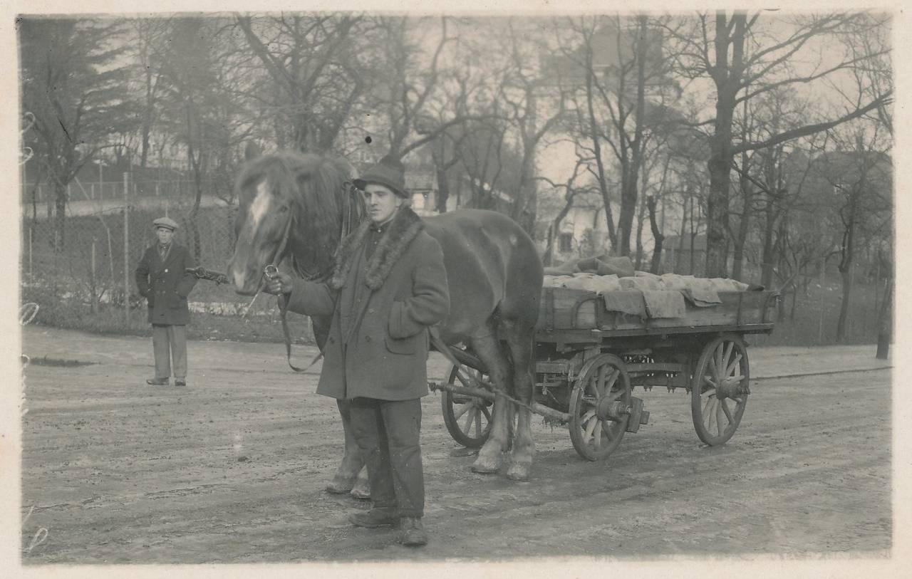 Bauern, Pferd, Pferdebesitzer, Tier