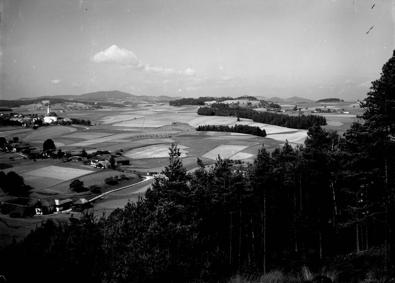 Landschaft, Niederreichenthal, Ortsansicht, Wald