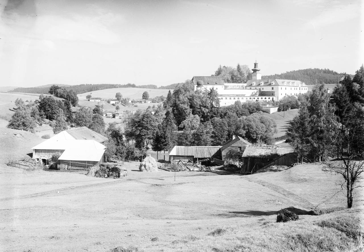 Bäume, Schloss Waldenfels
