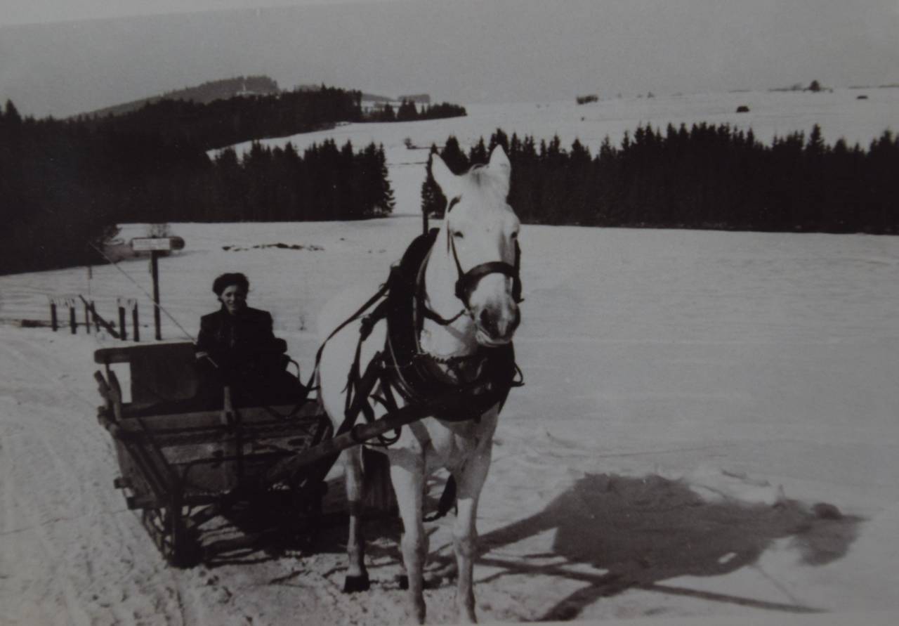 Pferd, Pferdebesitzer, Schnee, Tier