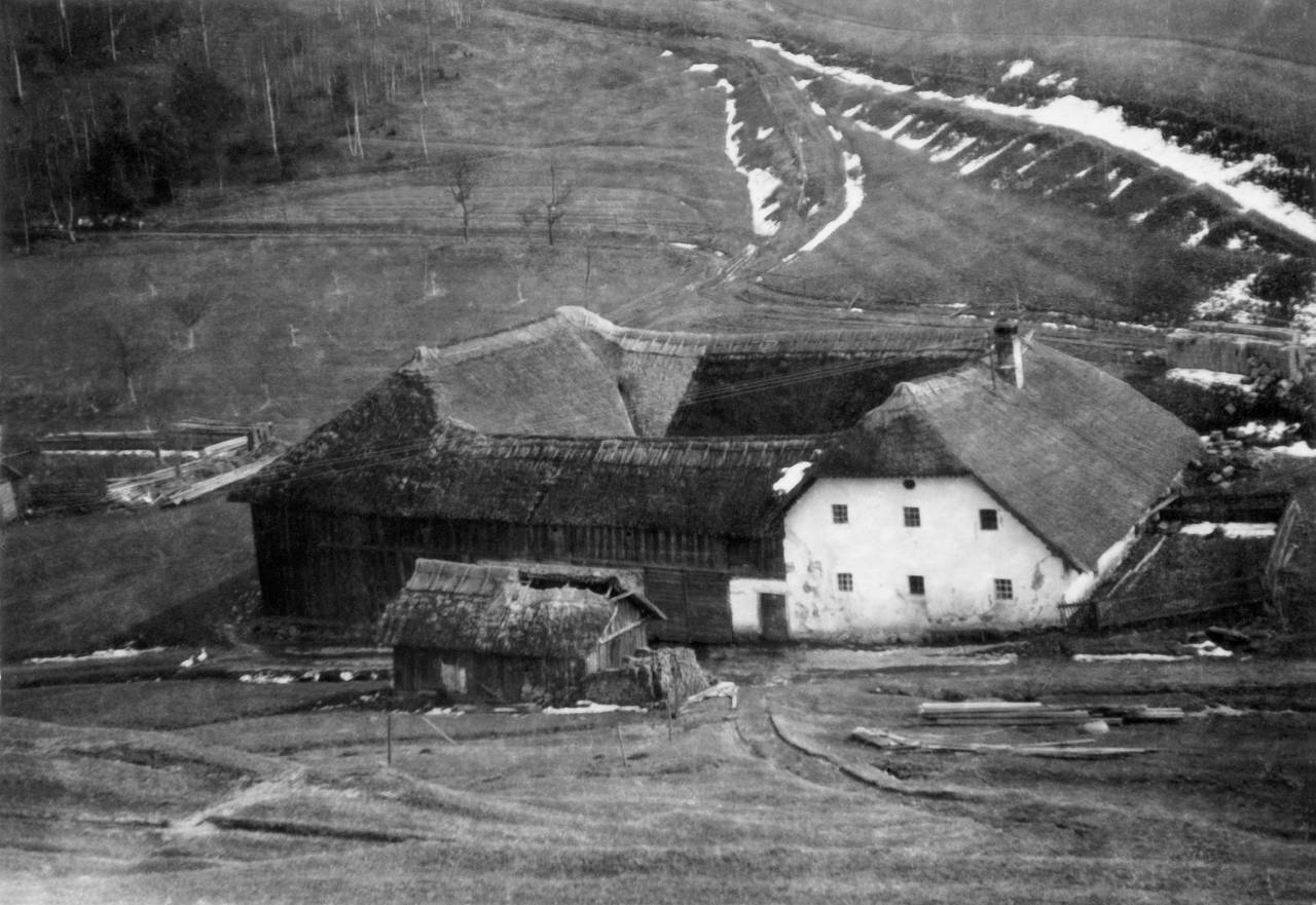 Bauernhaus, Strohdach