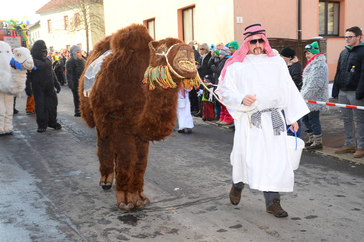 Fasching, Faschingsgruppe, Faschingsumzug, Faschingswagen, Sportunion