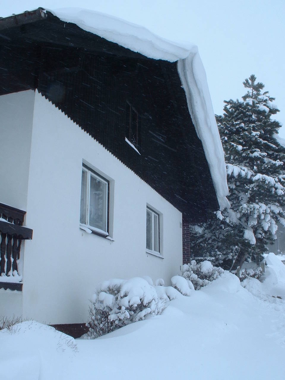 Baum, Haus, Schnee, Schneewechte, Winter