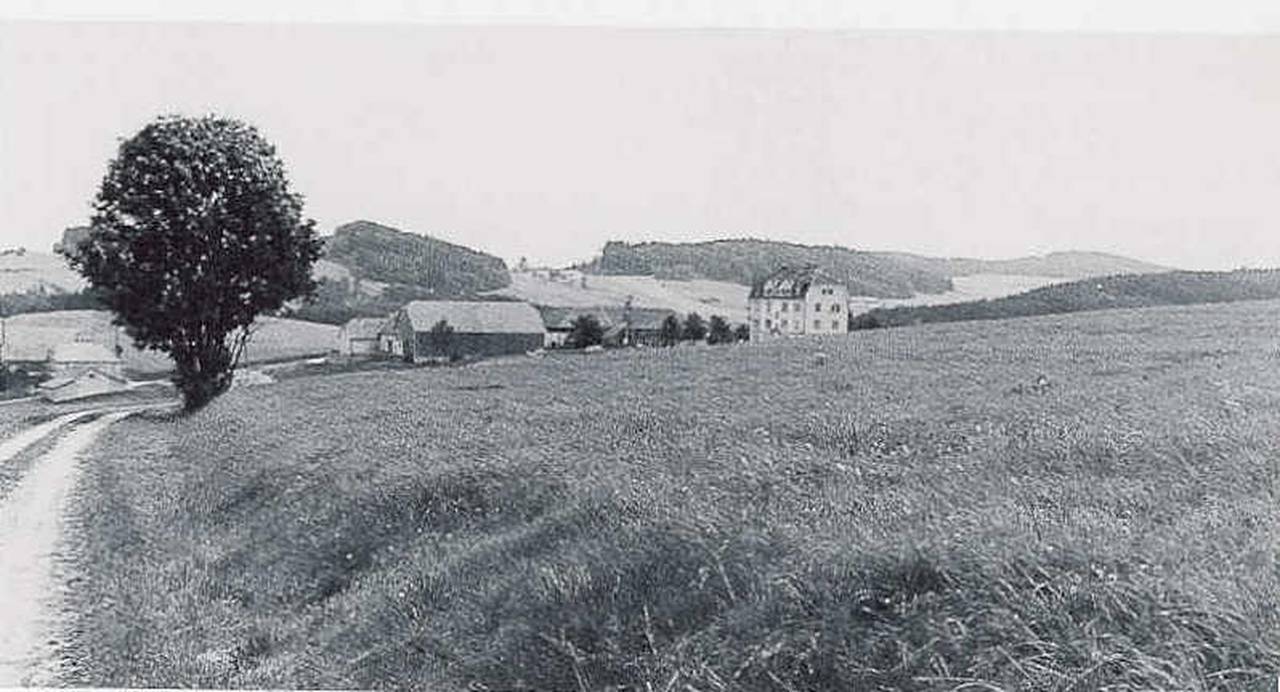 Landschaft, Stiftung, Wiesen